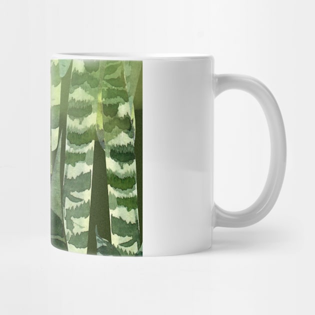 Sansevieria by SpilloDesign